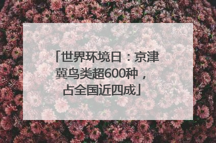 世界环境日：京津冀鸟类超600种，占全国近四成